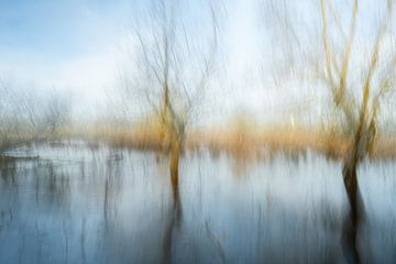 Verdronken bomen van Karin Imming