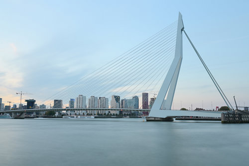 Le pont Erasmus à Rotterdam