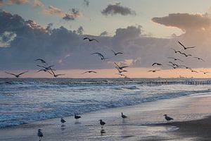 Guten Morgen Zeeland!