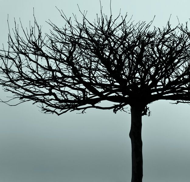 Natural beauty - green clay by Kirsten Warner