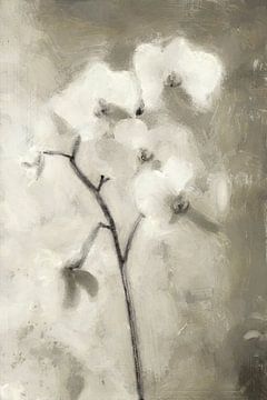 White Orchid | Taupe by Kanzo