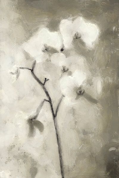 White Orchid | Taupe by Kanzo