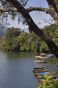Boats at the lake in Pokhara Nepal by Sarineke Daane