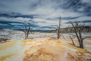 Les sources d'eau chaude de Mammouth Yellowstone sur Harold van den Hurk