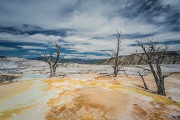 Mammutheiße Quellen Yellowstone von Harold van den Hurk