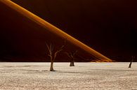 Sossusvlei Namibia by Antwan Janssen thumbnail