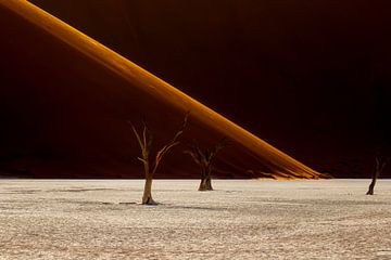 Sossusvlei Namibia by Antwan Janssen