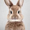 Baby Rabbit by Gal Design