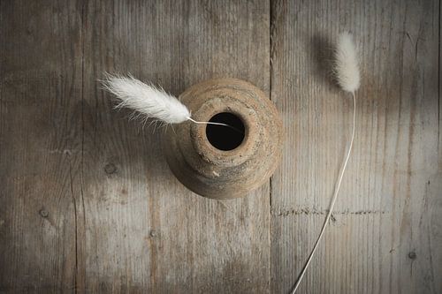 Dried plumes on an old weathered plank by Ellen Metz