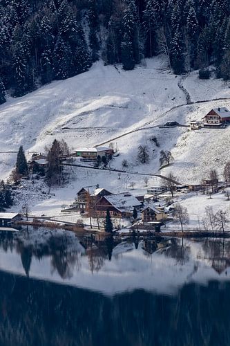 Ägerisee en hiver