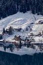 Ägerisee in winter time by Franca Gielen thumbnail
