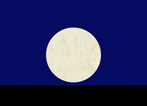 Nacht, volle maan van Richards Fine Art