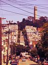San Francisco met de Coit Tower van Mr and Mrs Quirynen thumbnail