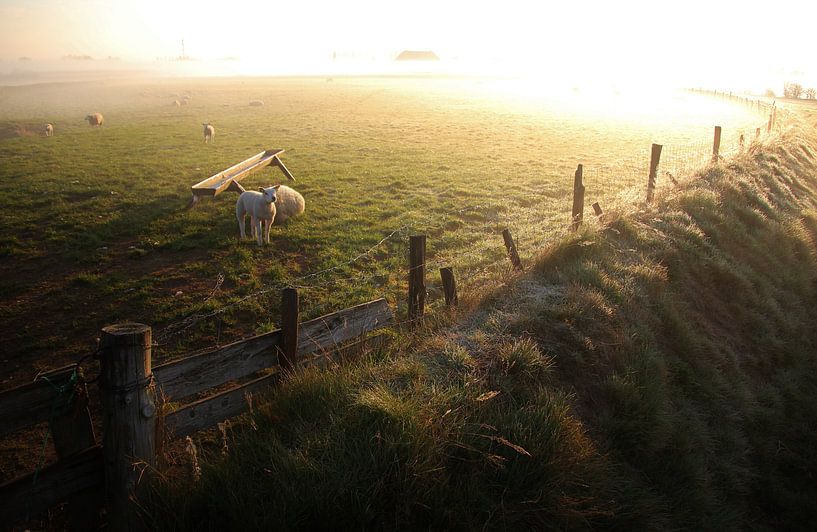 Texel-Landschaft 009 von Starworks:  LinaLena van der Star