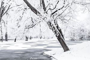 Gefrorene Winterlandschaft im Stadtpark von Kampen
