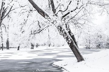 Winterlandschap in het stadspark van Kampen van Sjoerd van der Wal Fotografie