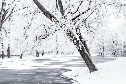 Winterlandschap in het stadspark van Kampen
