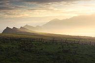 God's Light by Markus Stauffer thumbnail