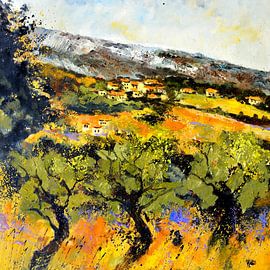 Zomer in de Provence