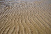strand, strand, strand