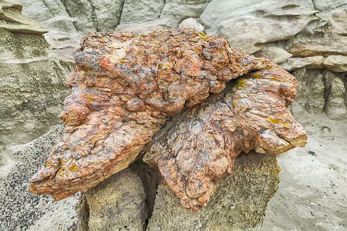 Bisti badlands versteinertes Holz im Winter New Mexico, USA