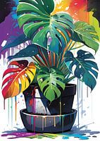 Rainbow Monstera