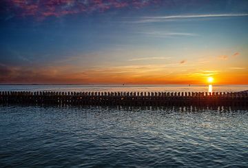 Untergehende Sonne, Boulevard Vlissingen von Lisette van Peenen