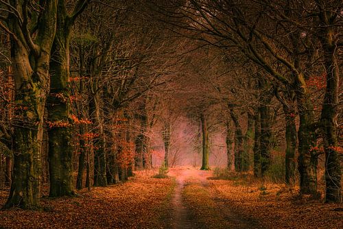 Still life forest landscape