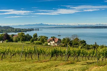 Lake Constance with Alpine panorama