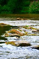 Bouillon Water / Eau