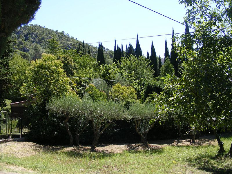 parkachtig by Mirjam van Ginkel