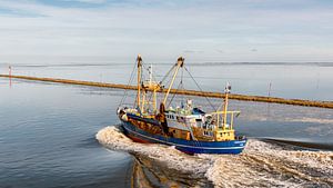 Pollendam Harlingen