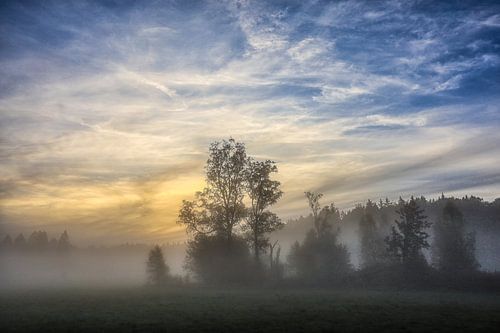 Ochtendgloren in de Irndorfer Hardt - Natuurpark Opper-Donau