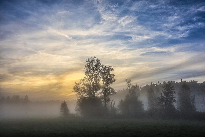 L'aube dans le Irndorfer Hardt - Parc naturel du Haut-Danube par BlattArt - Christine Horn