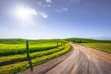 Route of the Via Francigena in Monteroni d'Arbia. Tuscany by Stefano Orazzini