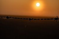 Barbwire