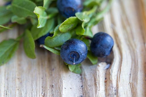 Wilde Blaubeeren