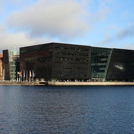 Bibliotheek Kopenhagen - De Zwarte Diamant von Raymond Hendriks