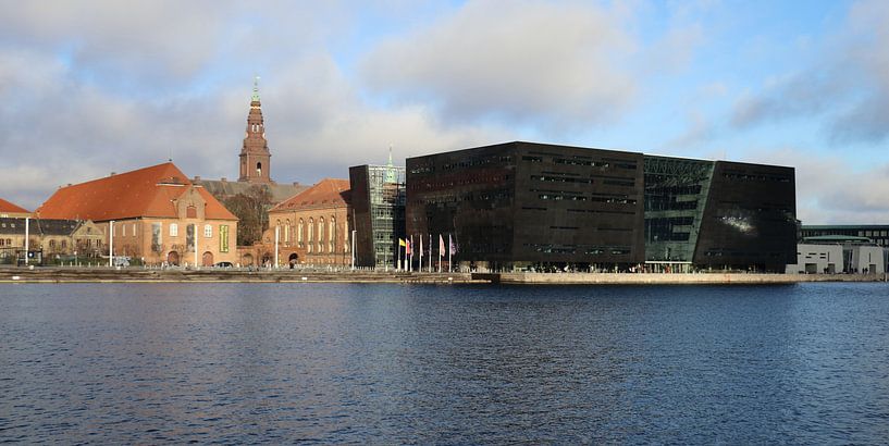 Bibliotheek Kopenhagen - De Zwarte Diamant von Raymond Hendriks