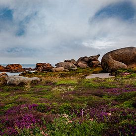 Roze Granietkust Bretagne van Kim Dickhout