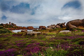 Roze Granietkust Bretagne van Kim Dickhout