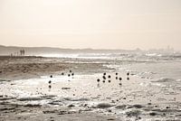 Dutch View VI 