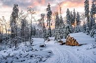 Bospad in de sneeuw en zonsondergang van Jens Sessler thumbnail