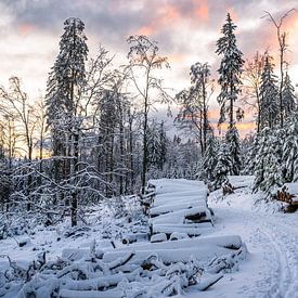 Waldweg im Schnee und Sonnenuntergang von Jens Sessler