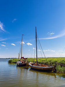 Segelschiffe im Hafen von Wieck auf dem Fischland-Darß