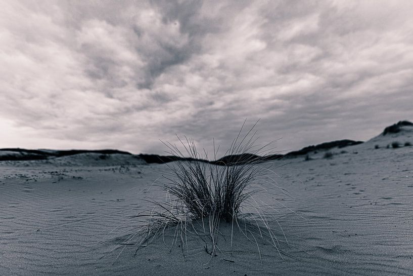 Lonely. by Corné Ouwehand