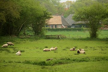 Dorpsgezicht Anloo van ArtelierGerdah