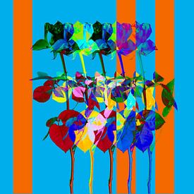 colorfull abstract Roses van Irma Marneth