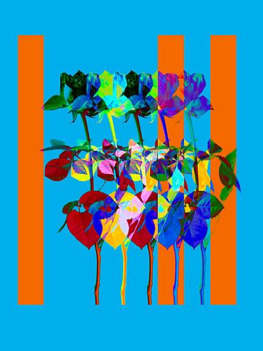 colorfull abstract Roses