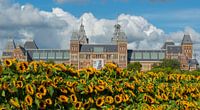 Rijks Museum in the limelight.